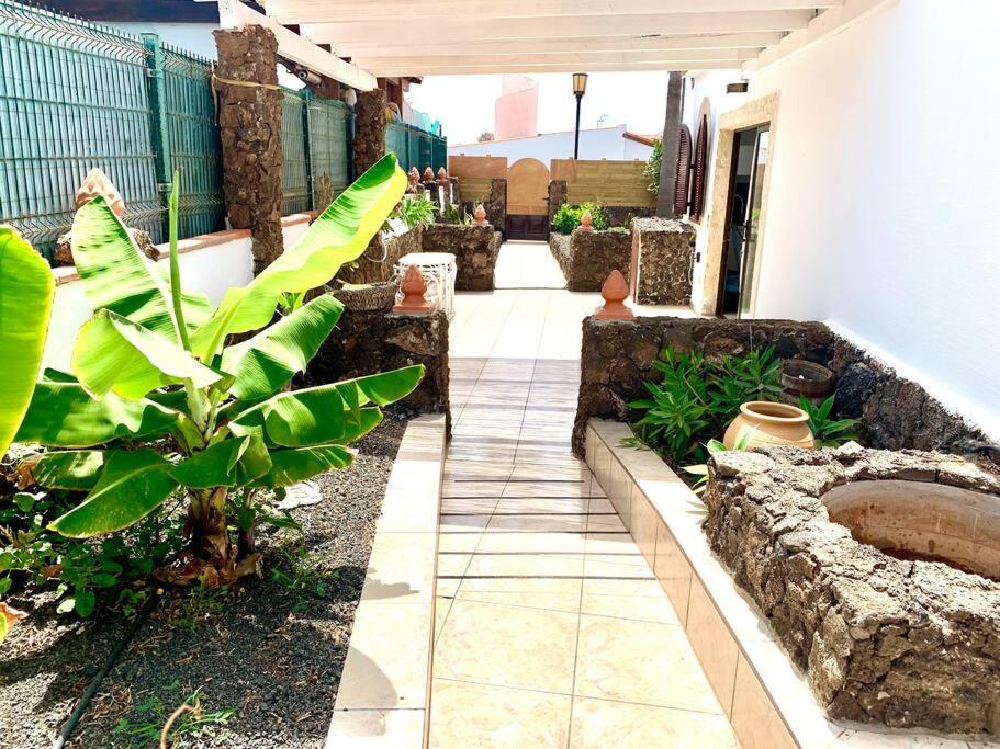 Apartament Casa Gato Corralejo Zewnętrze zdjęcie